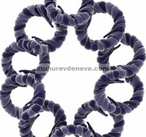 Donat Kompleks: Variasi Kecil dalam Urutan DNA Menentukan Kompleksitas Jalur dalam Nanotoroid DNA