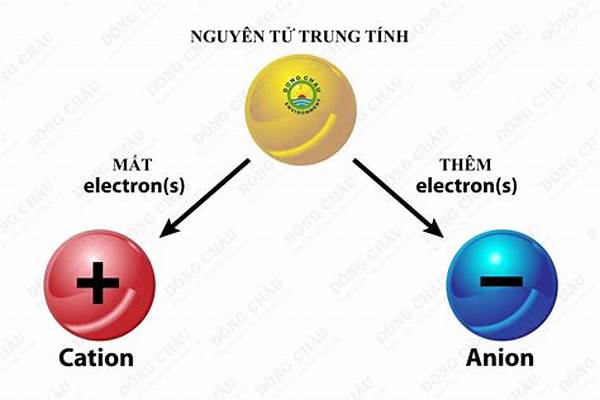 Anion