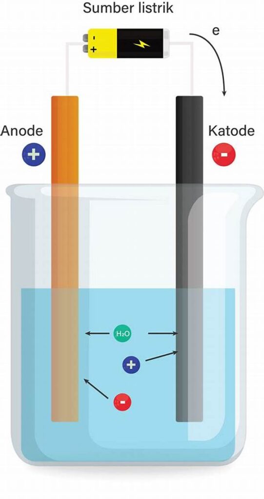 Elektrode Sel