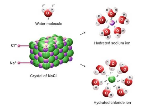 Hidrasi Ion