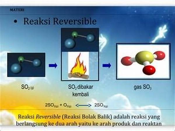 Reaksi Bolak Balik