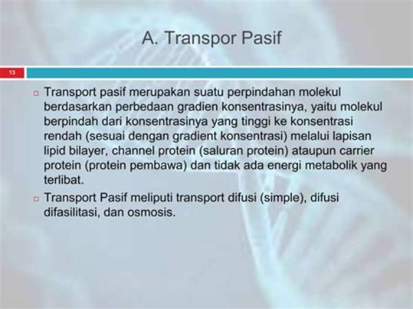 Lapisan Pasif